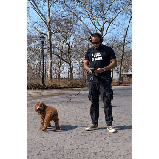 I Moth Stories T-Shirt, Men's - Limited Edition